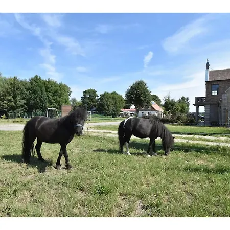 Gutshof Detershagen Xl Dom wakacyjny