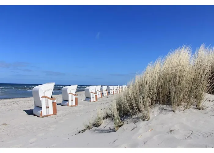 Prázdninový dům Gutshof Detershagen Xl